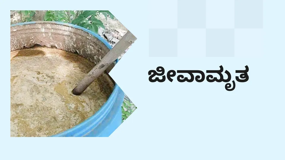 ಕೋರ್ಸ್ ಟ್ರೈಲರ್: ಜೀವಾಮೃತ ತಯಾರಿ. ಇನ್ನಷ್ಟು ತಿಳಿಯಲು ವೀಕ್ಷಿಸಿ.