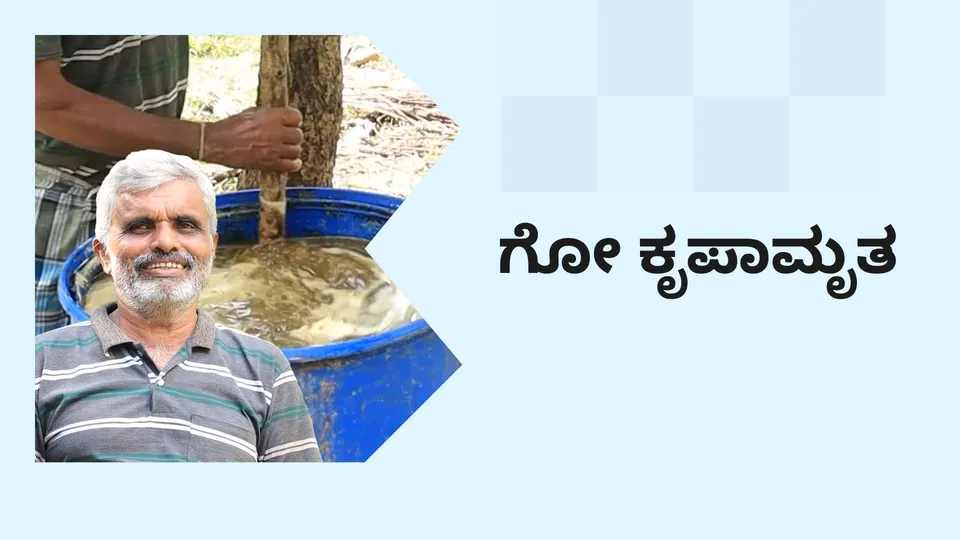 ಕೋರ್ಸ್ ಟ್ರೈಲರ್: ಗೋಕೃಪಾಮೃತ ತಯಾರಿ. ಇನ್ನಷ್ಟು ತಿಳಿಯಲು ವೀಕ್ಷಿಸಿ.