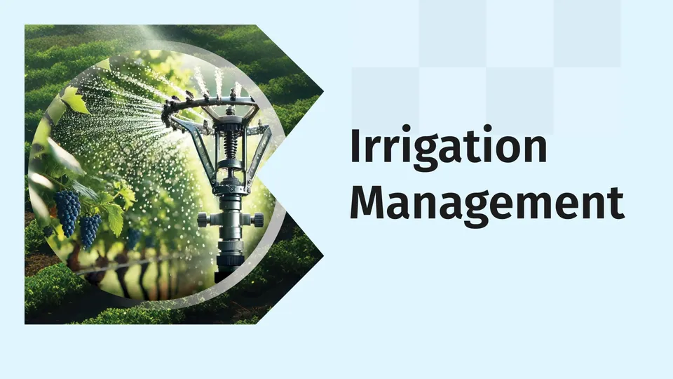 Irrigation course video