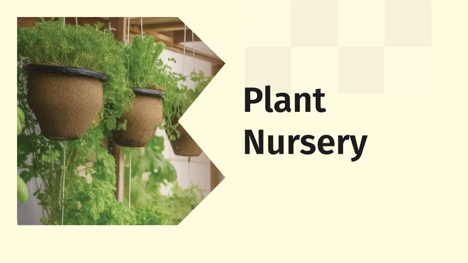 Plant nursery business video