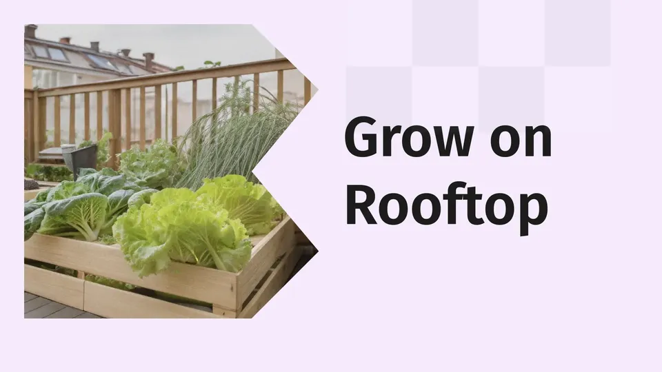 Course Trailer: Start a Business From Your Terrace Garden. Watch to know more.