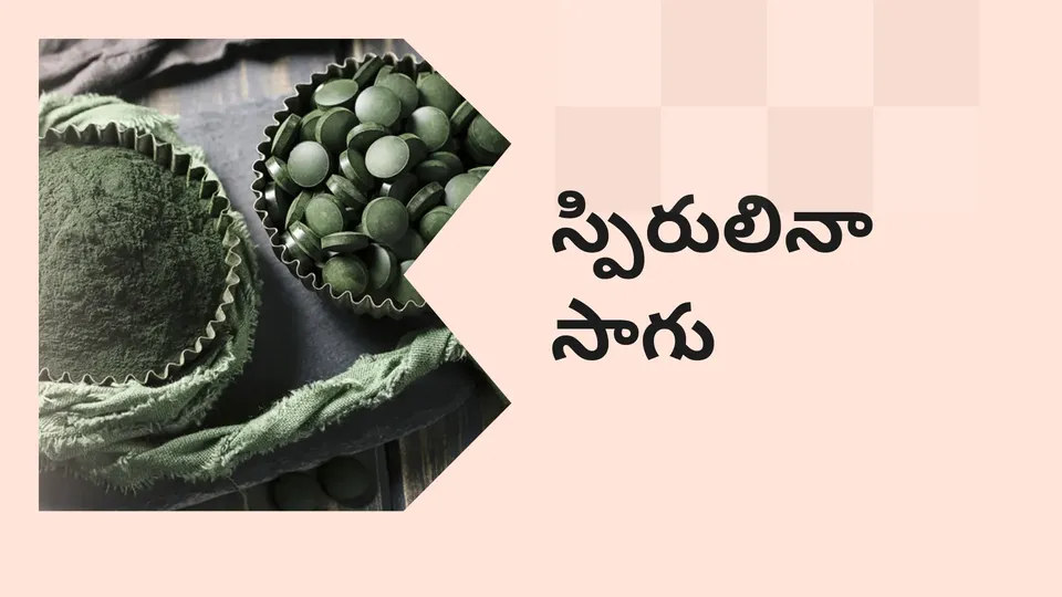 Spirulina Farming Course Video
