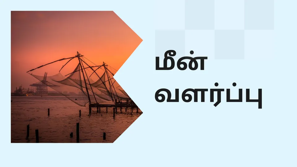 கோர்ஸ் டிரெய்லர்: மீன் வளர்ப்பு வழிகாட்டி. மேலும் தெரிந்து கொள்ள பார்க்கவும்.
