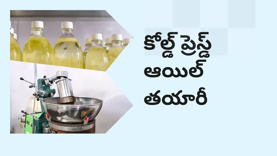 Where can i learn Edible Oil Business Course in In