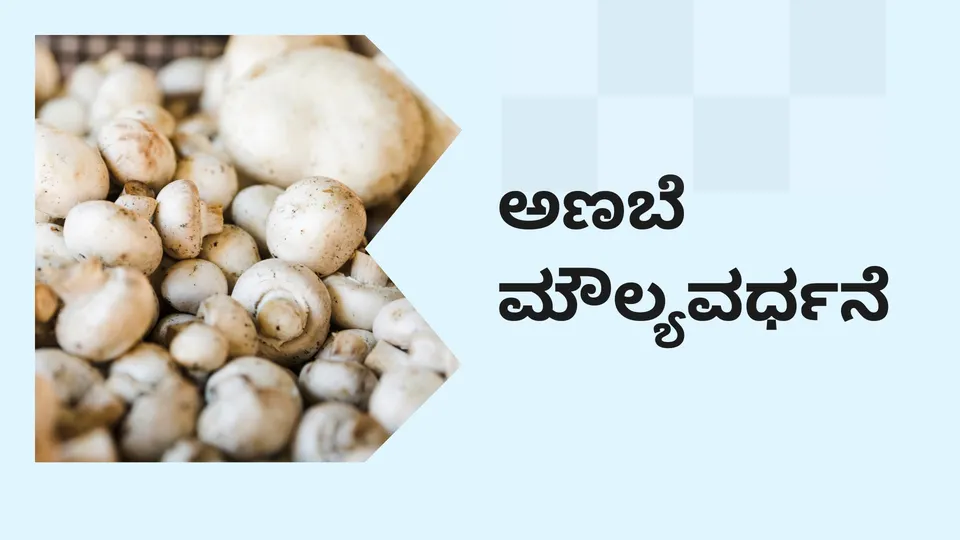 Mushroom Value Addition Course Video