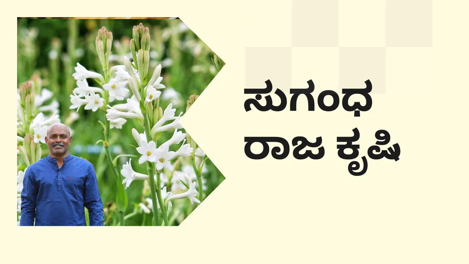 ಕೋರ್ಸ್ ಟ್ರೈಲರ್: ಸುಗಂಧರಾಜ ಹೂವಿನ ಕೃಷಿ ಕೋರ್ಸ್. ಇನ್ನಷ್ಟು ತಿಳಿಯಲು ವೀಕ್ಷಿಸಿ.