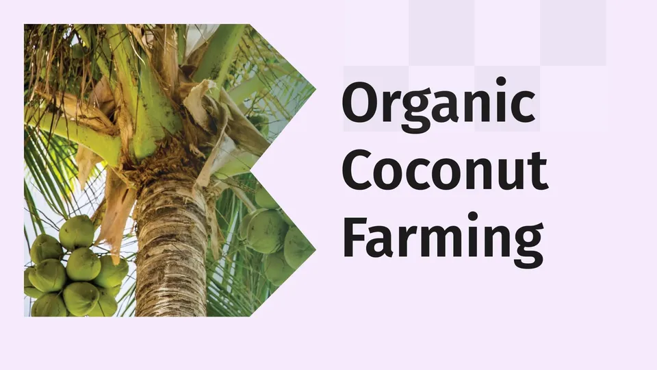 Course Trailer: Organic Coconut Farming- Earn up to Rs 2.5 lakh per acre. Watch to know more.
