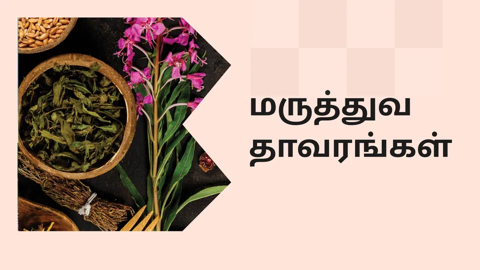 Medicinal Plants Farming  Couse Video