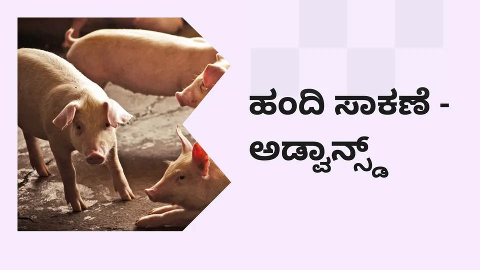 Pig Farming Course video