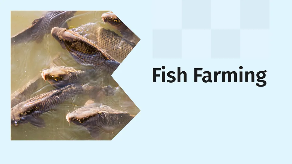 How to start Fish Farming business in India?