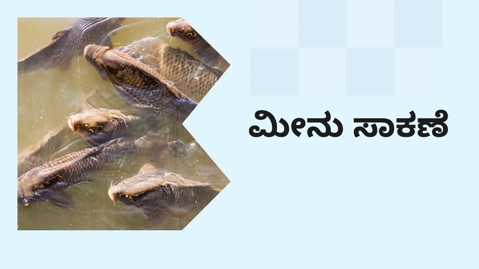 How to start Fish Farming business in India?