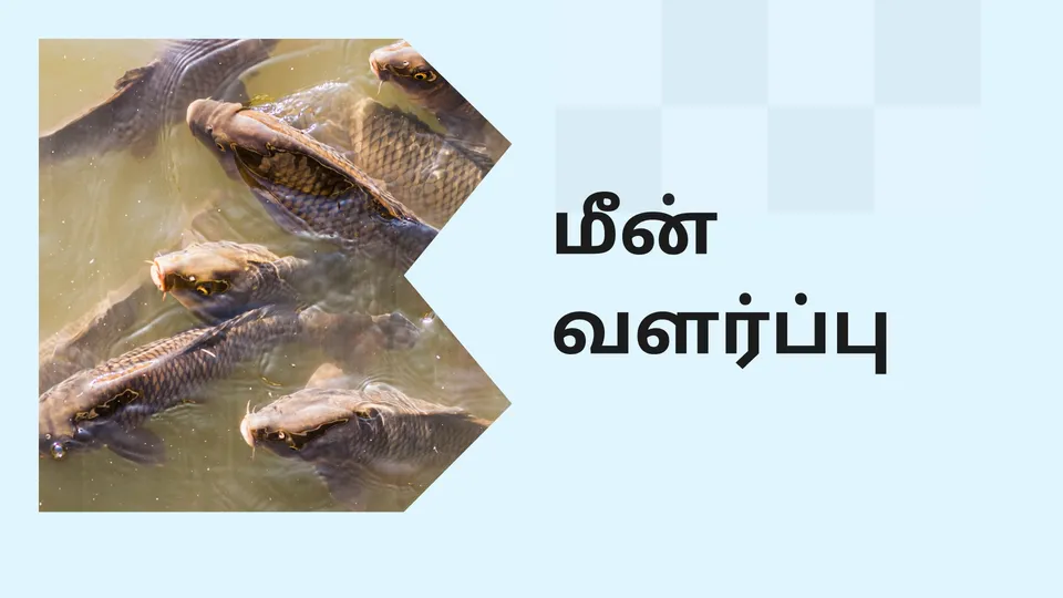How to start Fish Farming business in India?