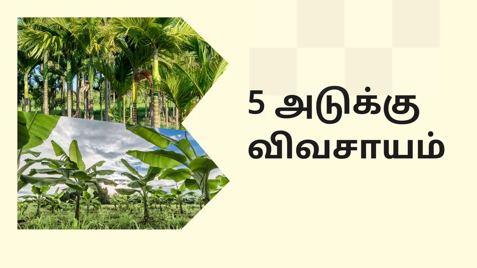 கோர்ஸ் டிரெய்லர்: 5-அடுக்கு விவசாய கோர்ஸ். மேலும் தெரிந்து கொள்ள பார்க்கவும்.