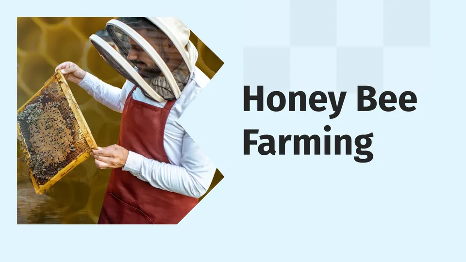 Honey Bee Farming Course Video