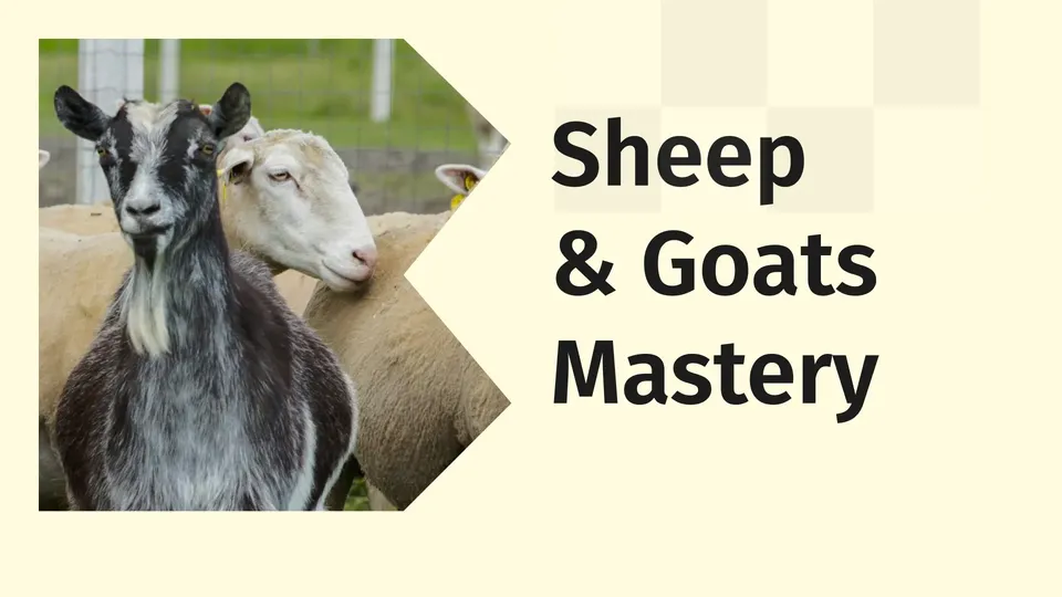 Sheep and Goat Farming Course Video