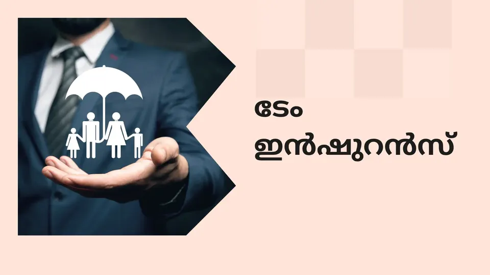 Term Insurance Video