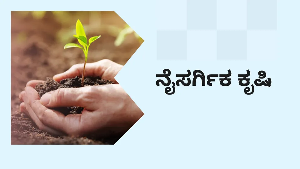 ಕೋರ್ಸ್ ಟ್ರೈಲರ್: ಕೃಷಿ ಉದ್ಯಮ ಕೋರ್ಸ್: ನೈಸರ್ಗಿಕ ಕೃಷಿ. ಇನ್ನಷ್ಟು ತಿಳಿಯಲು ವೀಕ್ಷಿಸಿ.