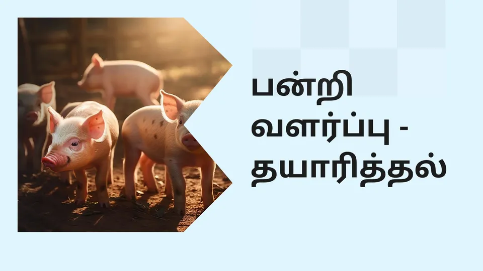 Ultimate Guide to Planning and Preparation of Pig 