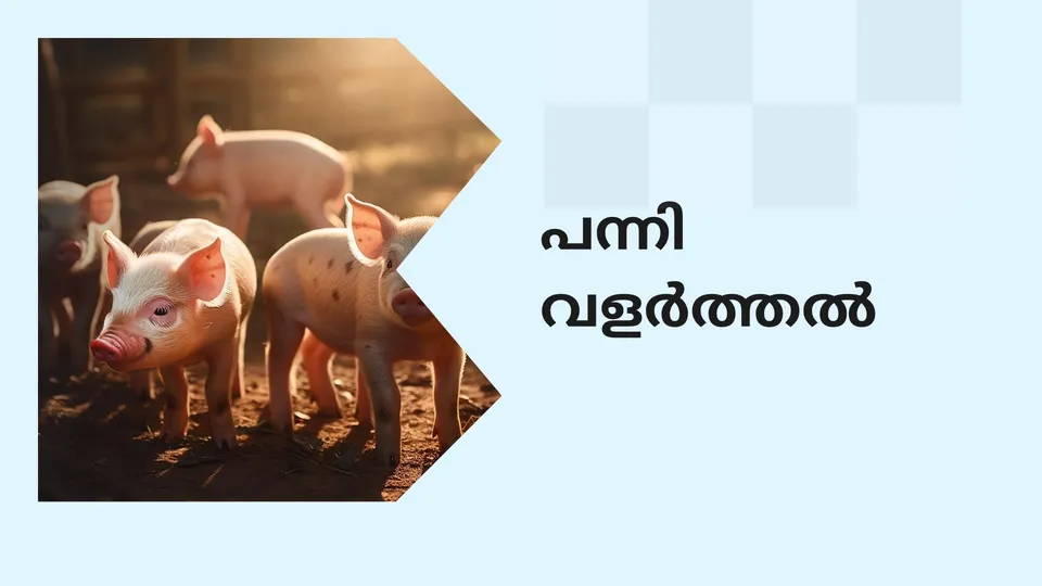Ultimate Guide to Planning and Preparation of Pig 