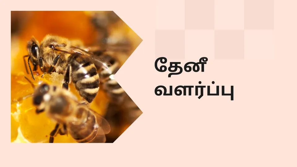 Start a Successful Honey Bee Farming Course Video