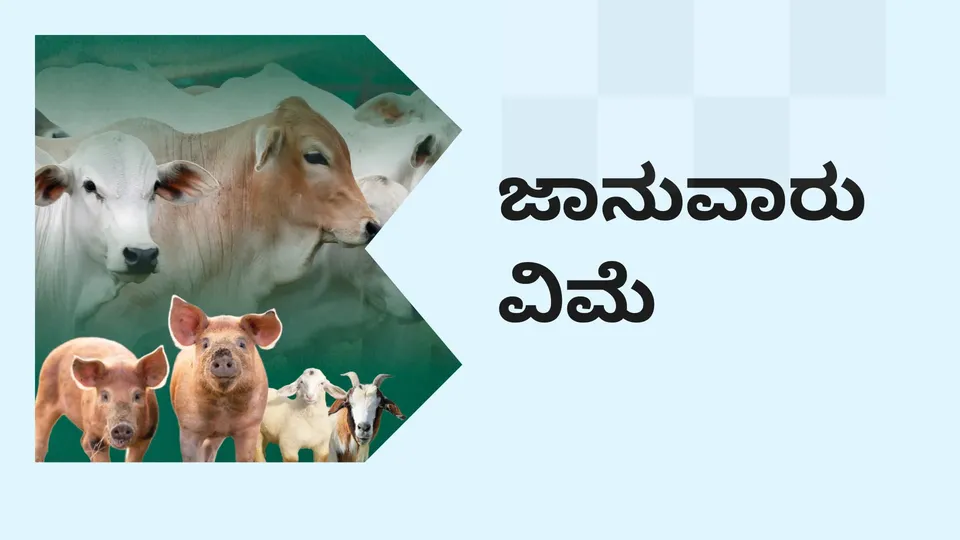Livestock Insurance Scheme Course Video