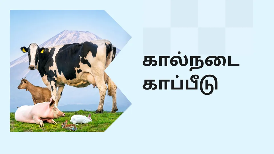 Livestock Insurance Scheme Course Video
