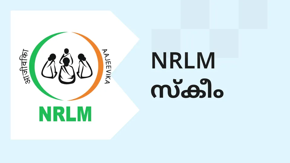 NRLM Scheme by the Government Course Video