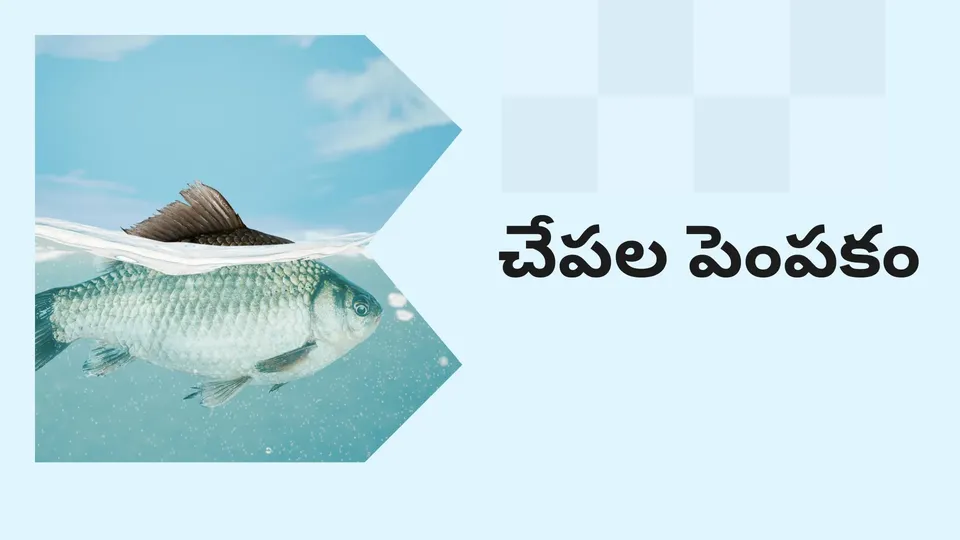 Start a successful Fish Farming Course Video
