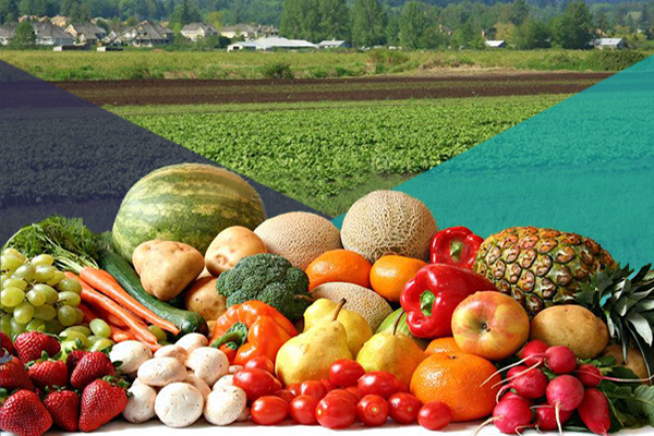 सब्जियों की खेती कौशल और संसाधन: फ्रीडम ऐप के साथ अपना व्यवसाय शुरू करें या बढ़ाएं