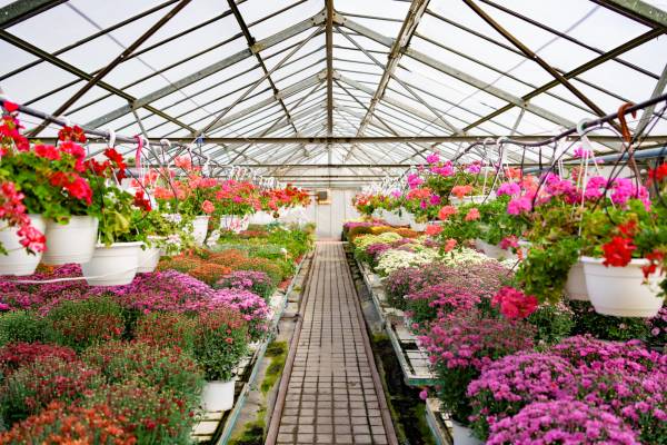 Floriculture Skills & Resources: Start or Grow Your Business with ffreedom app