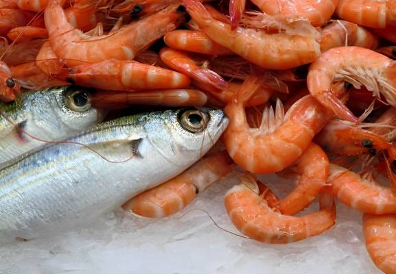 Fish & Prawns Farming Skills & Resources: Start or Grow Your Business with ffreedom app