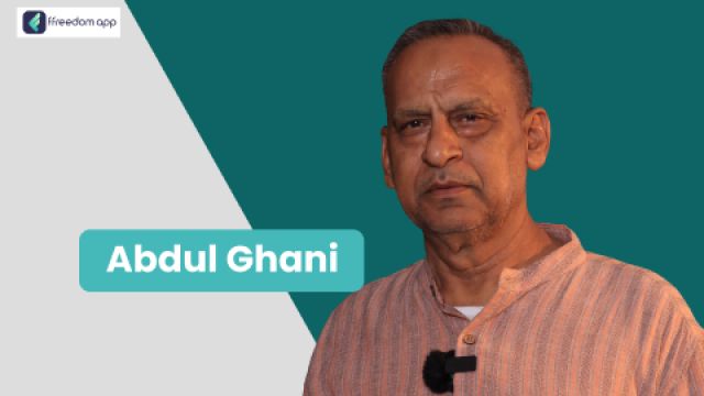 Abdul Ghani is a mentor on  on ffreedom app.